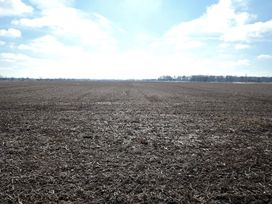 LAND AUCTION, 211+/- Acres offered in 3 Tracts